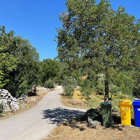 Holiday House Dunamis Krivodol Екстериор снимка