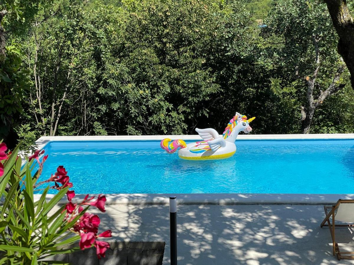 Holiday House Dunamis Krivodol Екстериор снимка